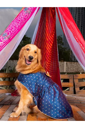 Vastramay Blue & Gold Silk Blend Dog Dress