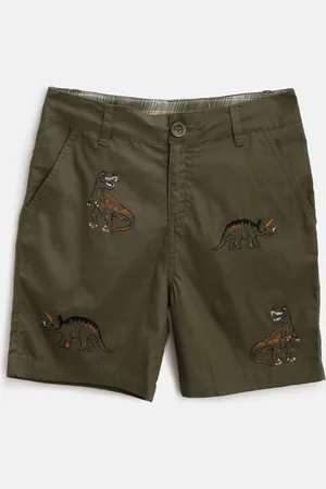 Cherry Crumble Boys Olive Green Dinosaur Embroidered Regular Fit Chino Shorts