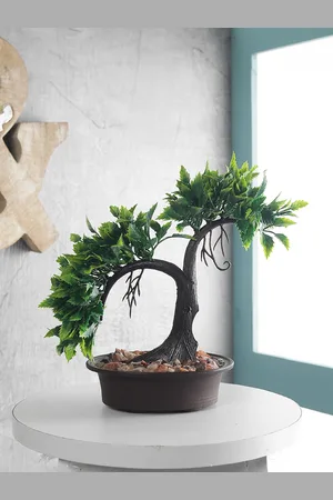 FOLIYAJ Green & Black Artificial Shoe Horn Shaped Bonsai Tree With Pot