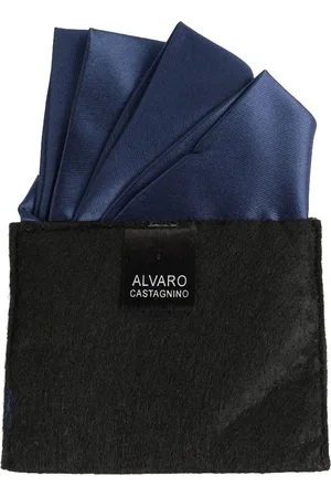 Alvaro Castagnino Men Blue Solid Pocket Square