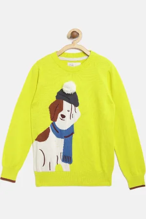 Cherry Crumble Unisex Kids Yellow Animal Graphics Solid Pullover Sweater