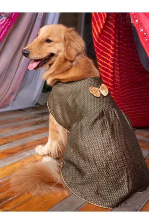 Vastramay Black & Golden Self-Design Dog Dress