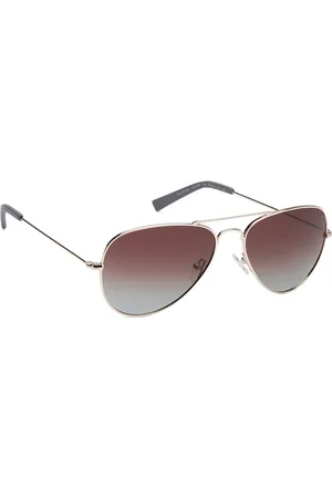 Nautica Men Brown Lens & Gold-Toned Aviator Sunglasses with UV Protection