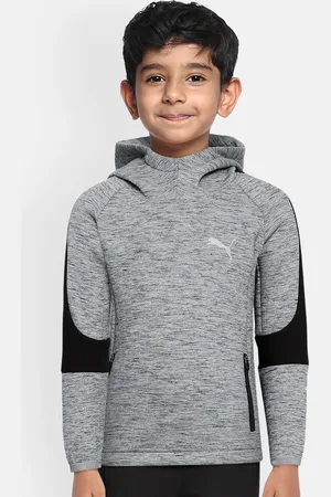 PUMA Boys Grey Hooded Evostripe Slim DryCell Regular fit Sweatshirt