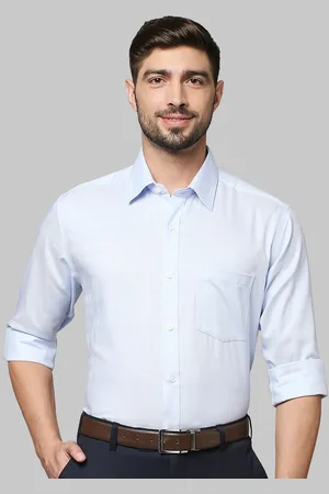 Park Avenue Men Blue Striped Formal Shirt